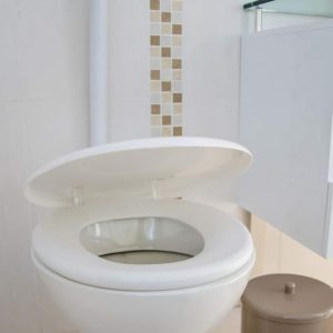 ASSENTO ALMOFADADO CONVENCIONAL SUAVIT BRANCO - TIGRE