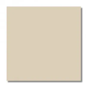 PISO CERAMICO 60X60-A RETIFICADO AMBAR BRILHANTE LQ V2 1 FACE - LUME