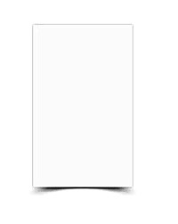 REVESTIMENTO CERAMICO 32X59-A RETIFICADO 325783 BRANCO ACETINADO LZ V2 1 FACE - LUME